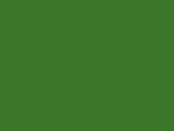 Green Color Chip